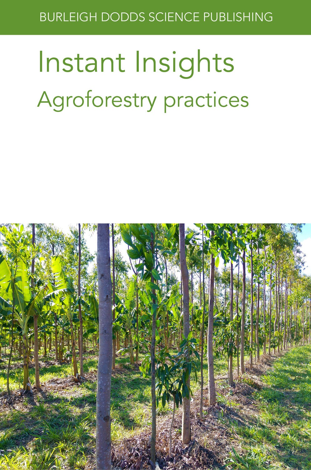 Book cover image for Instant Insights: Agroforestry practices ISBN: 9781801469906